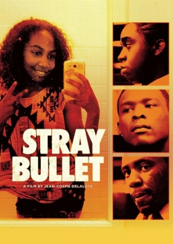 Watch free Stray Bullet movies online