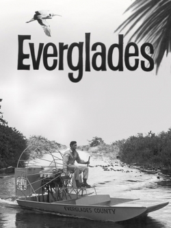 Watch free Everglades movies online