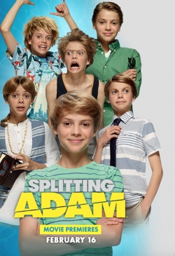 Watch free Splitting Adam movies online